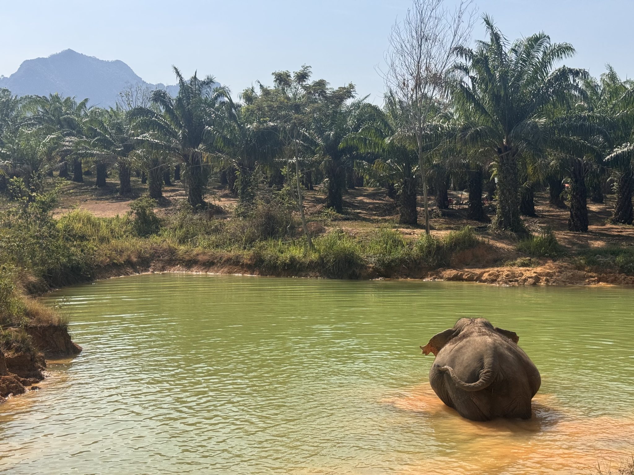 DÍA 9 - KRABI