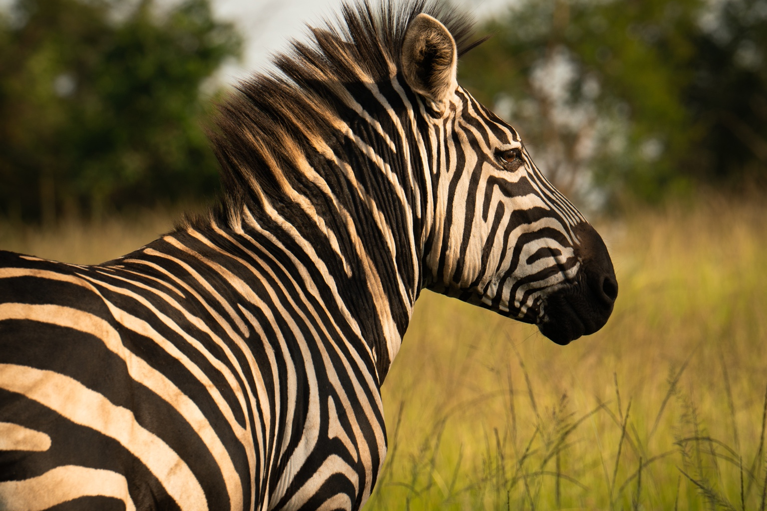 7/8 - LAGO MBURU