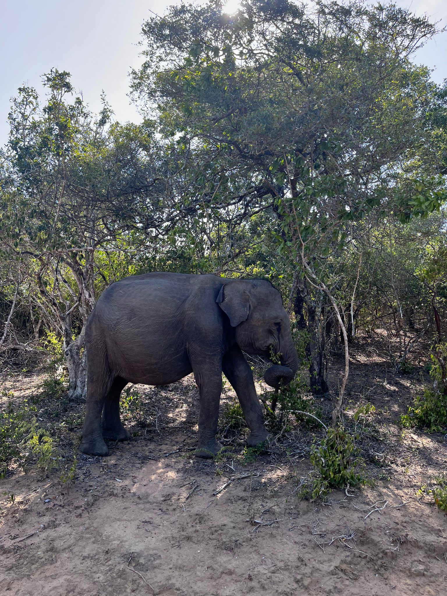 DÍA 9/10 - YALA N.P
