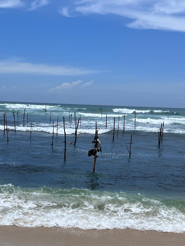 DÍA 13 - GALLE