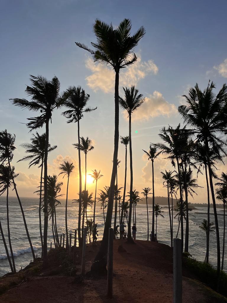 DÍA 12 - MIRISSA