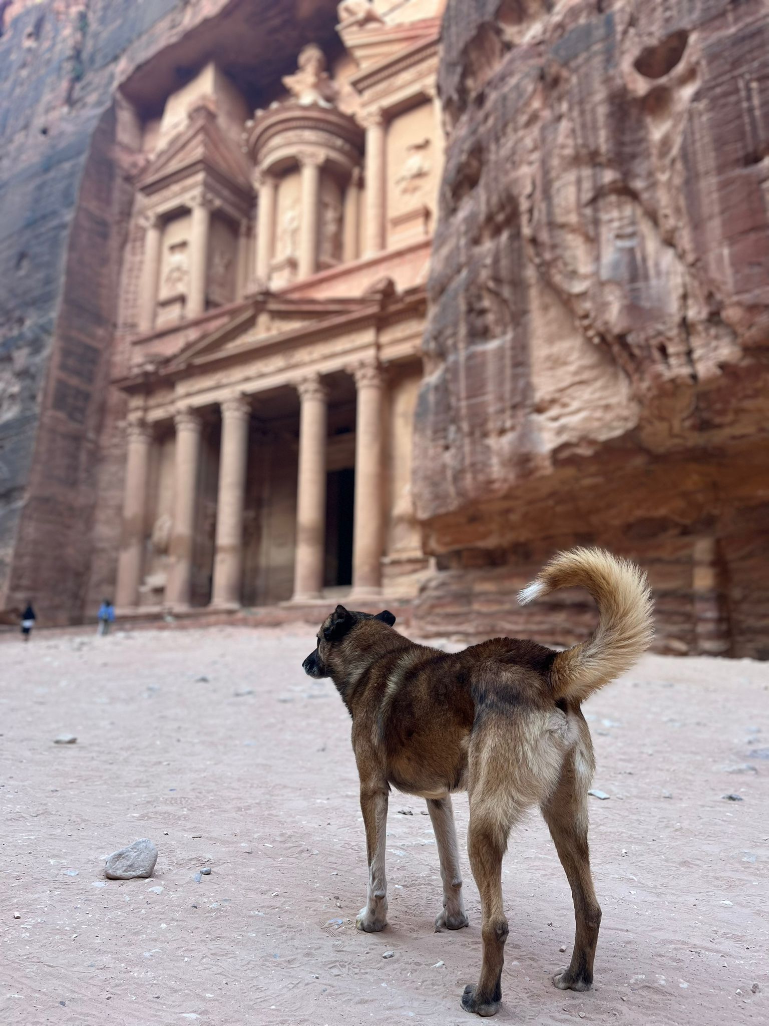 DÍAS 5/6 - WADI MUJIB Y PETRA