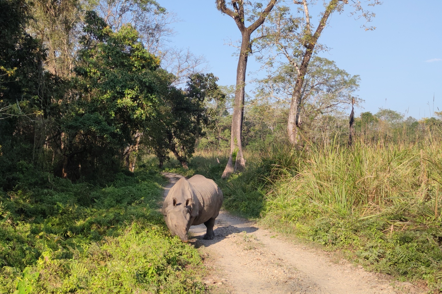 DÍAS 13/16 - CHITWAN